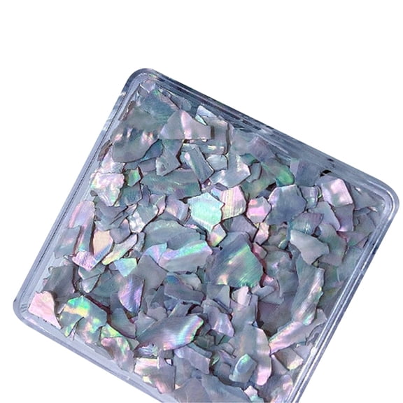 ROZYARD Nail Art Shell Flakes Abalone Nail 3D Irregular Slices Shell Nail Art