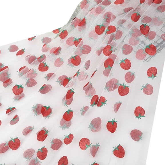 ROZYARD Nylon Netting Materials Sheer Fabric for Dance Costumes Craft