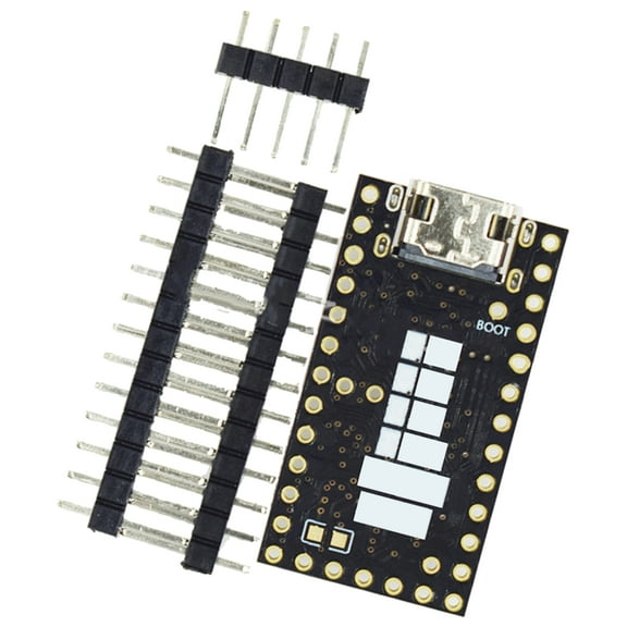 RP2040 Microcontroller for Innovative Computings and DIY Electronics
