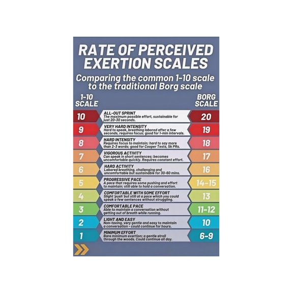 RPE 1-10 and Borg Scale Poster Training Aid for PE Teacher Fitness Gym Class Workout Intensity Reference Chart
