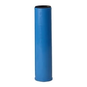 OMNIFilter GAC1-SS4-S06 Sta-Rite Gac1-Ss Water Filter Cartridges, Activated Carbon