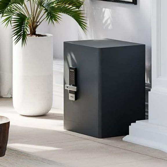 RPNB Deluxe Home Safe, Biometric Fingerprint Safe 2.8 Cubic Feet