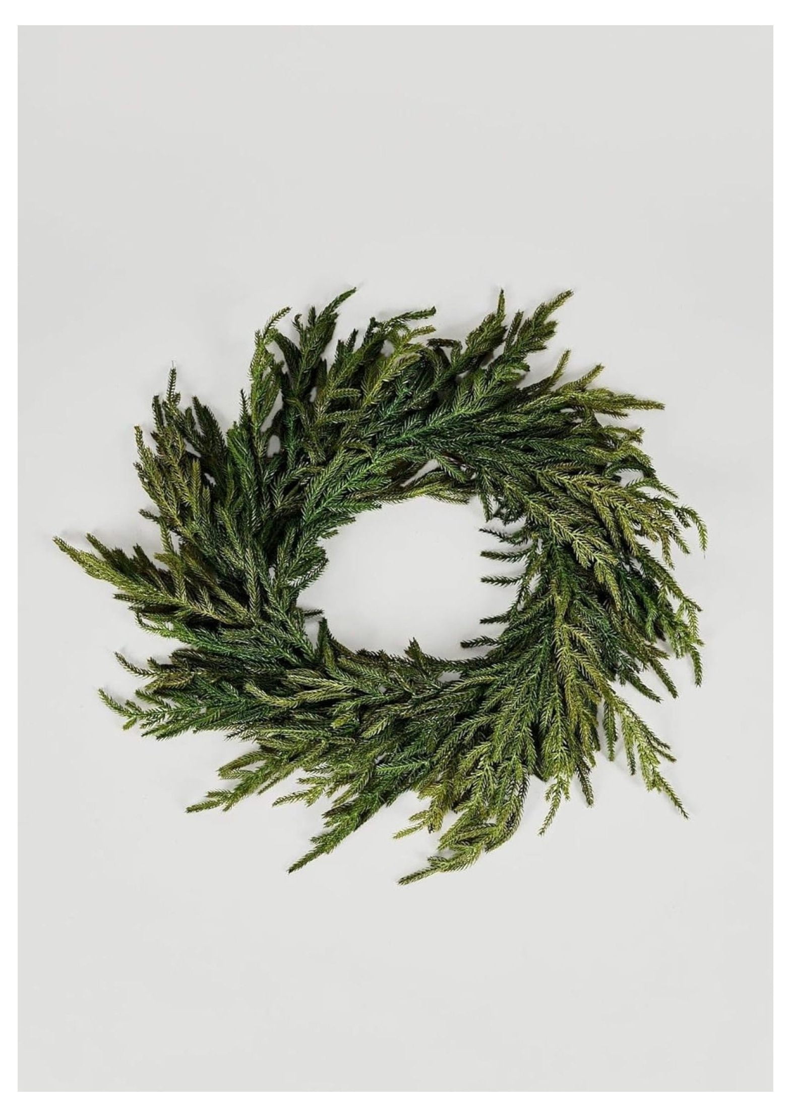 24" Green Artificial Norfolk Pine Christmas Wreath with Grapevine Base
