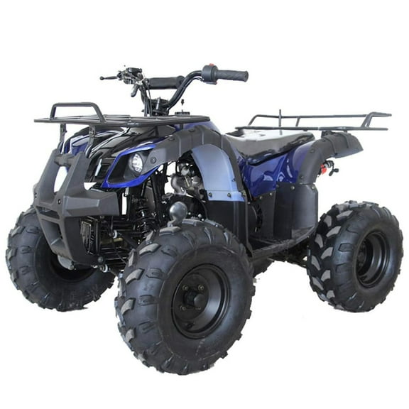 RPS 200cc Utility 169 cc ATV