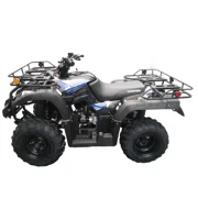 RPS Canyon 230 cc ATV