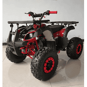 RPS Mini Desert 125CRT ATV, 125cc, Automatic with Reverse, Disc Brakes, 8-Inch Wheels, Front & Rear Racks, Electric Start Red