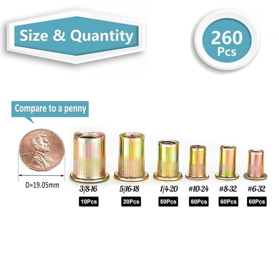 RRFDWQ-Rivet Nut Kit, 260pcs SAE Nut Assortment Kit Galvanized Carbon Steel Flat Head Threaded Insert Nuts, Sizes 6-32 8-32 10-24 1/4"-20 5/16"-18 3/8"-16