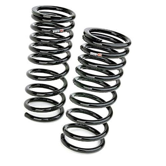 RS-R F065S