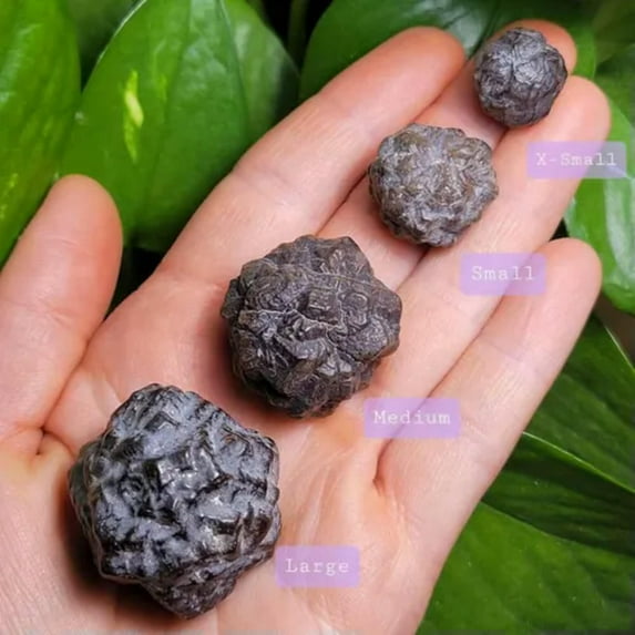 RSAMD Prophecy Stone Pseudomorph Crystals Limonite & Hematite After Marcasite Mineral-120-150g (X-Large)-Prophecy Stone