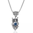 thumbnail image 1 of RSAMD Wholesale Evil Eye Necklace Turkish Blue Eye Pendant Clavicle Women Jewelry 2024-41-Owl Evil Eye, 1 of 9