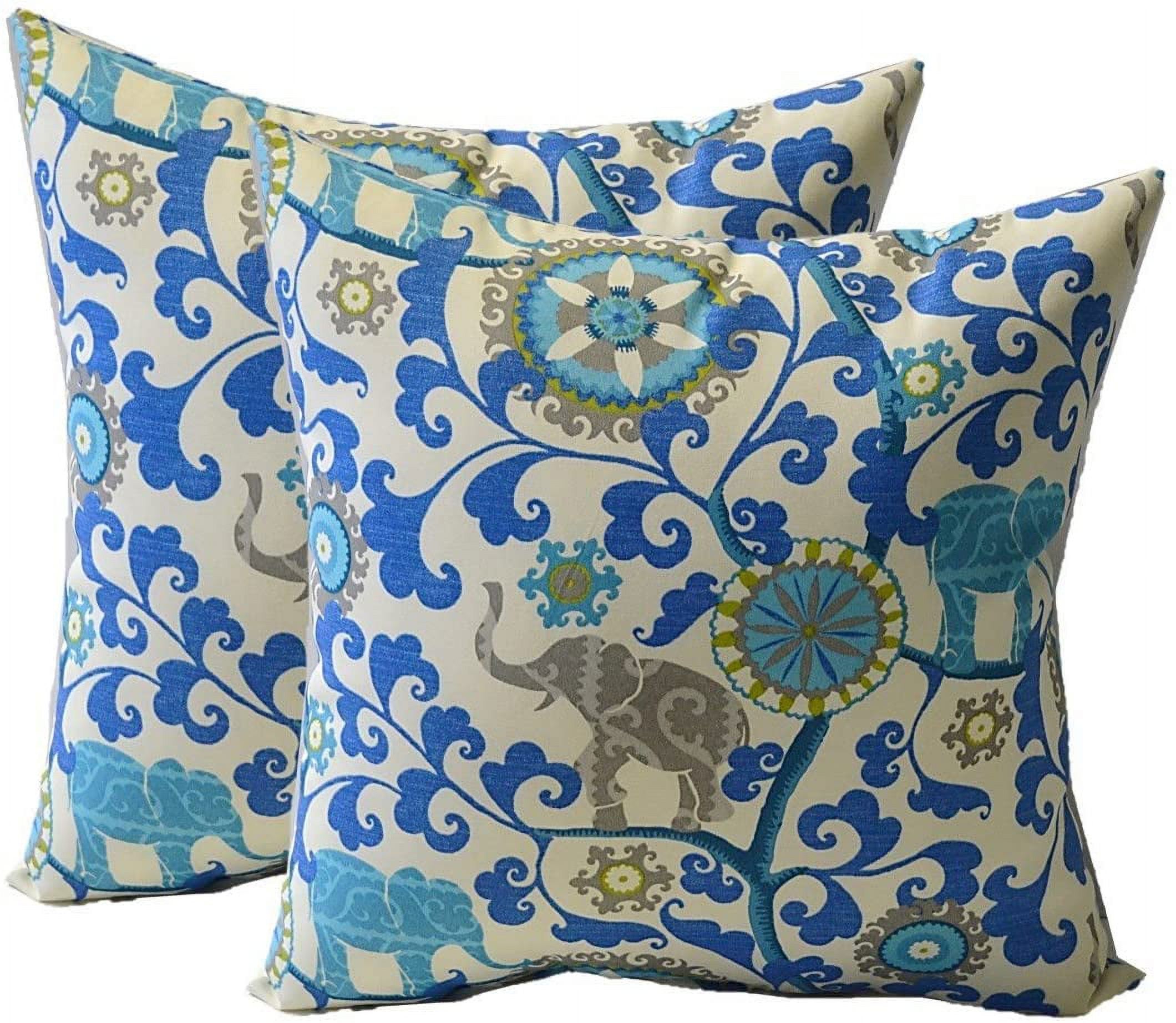 RSH Decor Indoor Outdoor Set of 2 Pillows 24 x 24