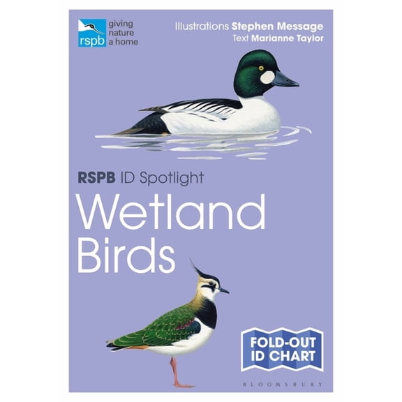 RSPB: RSPB ID Spotlight - Wetland Birds (Paperback)