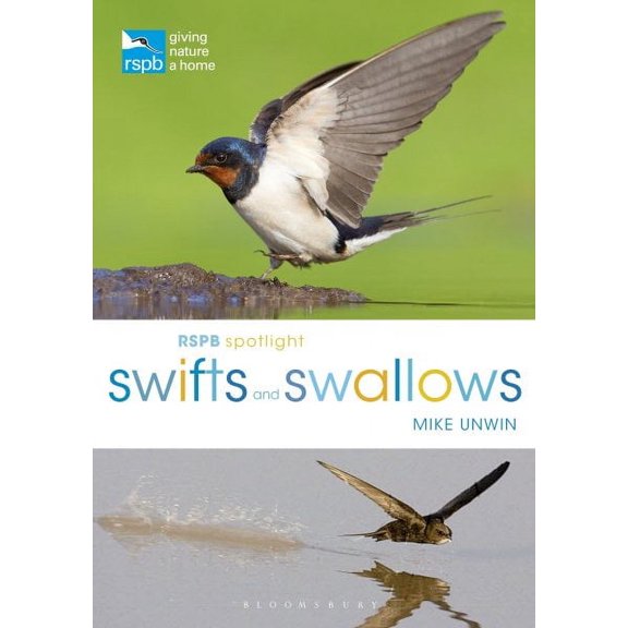 RSPB Spotlight Swifts and Swallows
