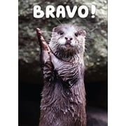 RSVP Bravo Otter Funny / Humorous Birthday Card