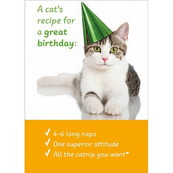 RSVP Cat's Recipe For a Great Birthday Funny / Humorous Cat Birthday Card