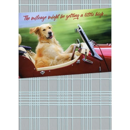RSVP Dog Driving Red Car Funny / Humorous Masculine Birthday Card for Him : Man : Men