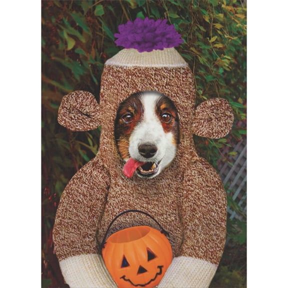 RSVP Dog Wearing Sock Monkey Costume Cute Halloween Card
