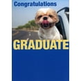 thumbnail image 1 of RSVP Dog with Head Sticking Out Car Window Cute Humorous : Funny Graduation Congratulations Card, 1 of 2