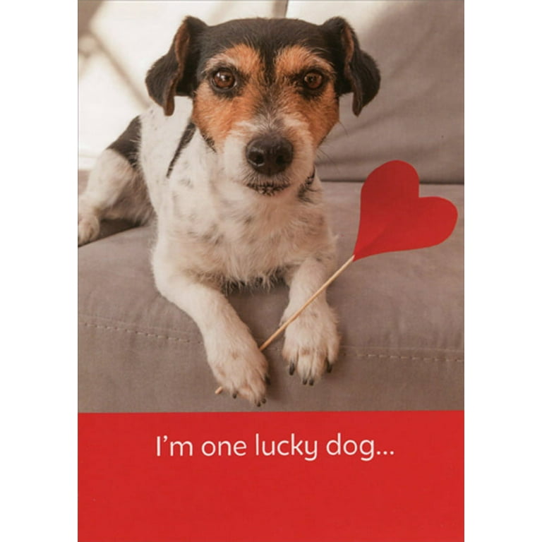 RSVP Dog with Heart on Stick Valentine's Day Card from the Dog