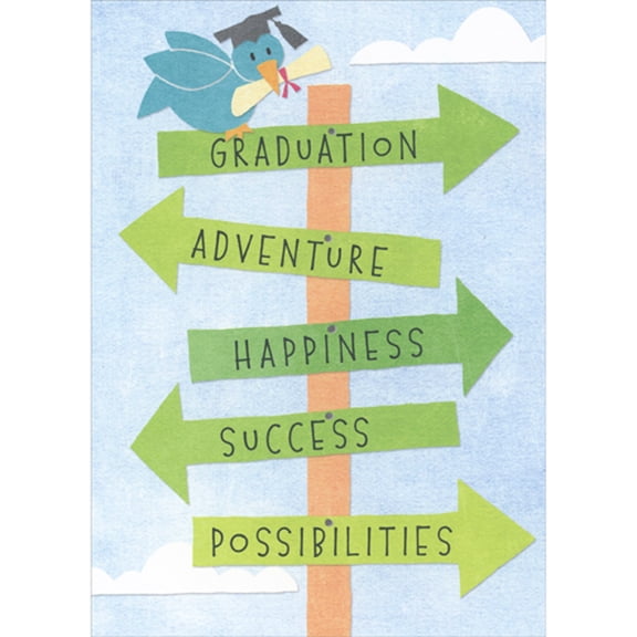 RSVP Graduation, Adventure, Happiness, Success, Possibilities Arrows Sign Graduation Congratulations Card
