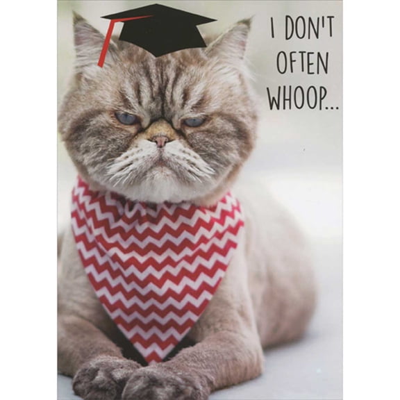 RSVP I Don't Often Woop: Grumpy Cat with Grad Cap and Zig Zag Bandana Funny Graduation Card