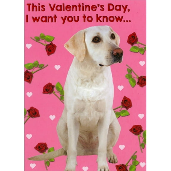 RSVP Labrador and Roses on Pink Funny Dog Romantic Valentine's Day Card