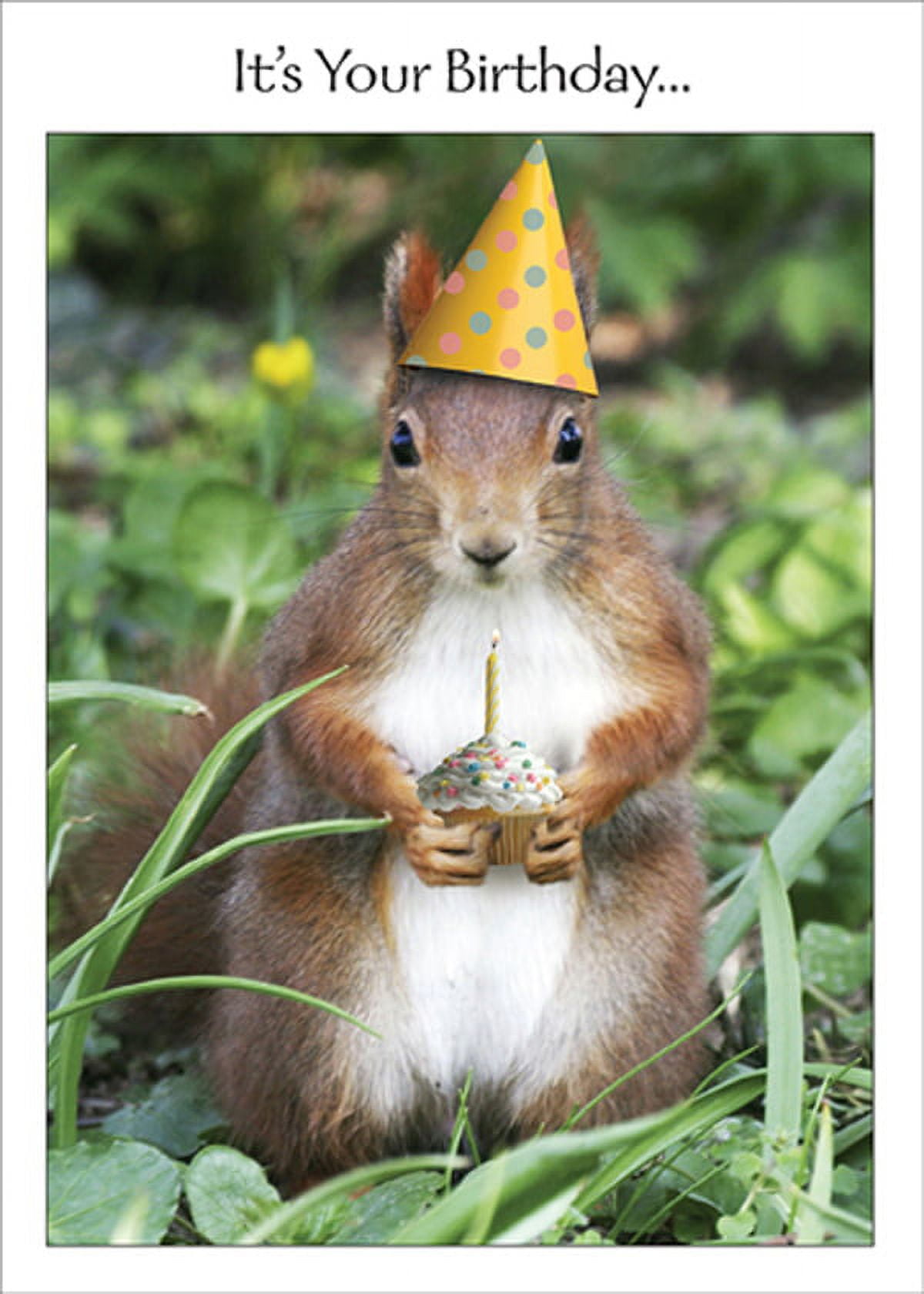 RSVP Squirrel in Party Hat Holding Cupcake Funny / Humorous Birthday