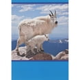 thumbnail image 1 of RSVP Two Goats on Cliff Ledge Photo with Bright Blue Borders Funny / Humorous Father's Day Card for Dad, 1 of 2