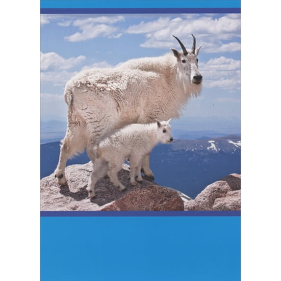 RSVP Two Goats on Cliff Ledge Photo with Bright Blue Borders Funny / Humorous Father's Day Card for Dad