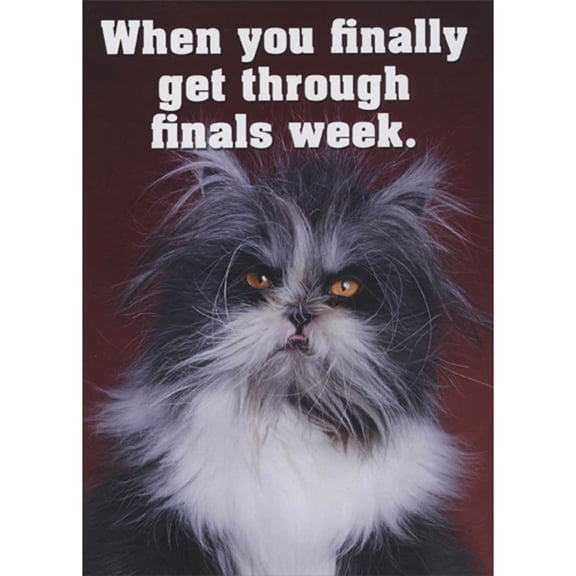 RSVP When You Finally Get Through Finals Week: Cat with Messy Fur Funny Graduation Card