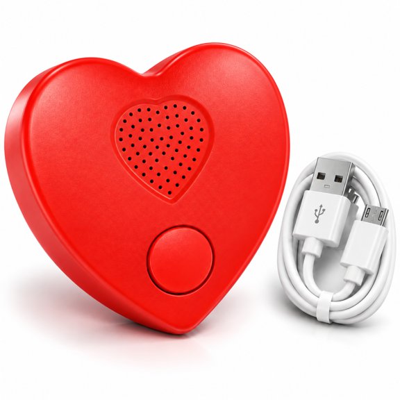 RTG 4MB Voice Box for DIY Crafts and Keepsakes, 8 Min Voice or 4 Min MP3, Windows PC Edition with Cable