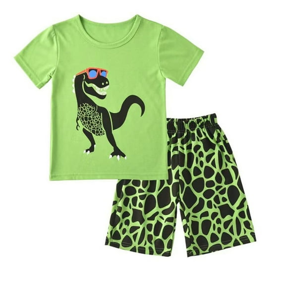 RTKFRFLM Toddler Boy Summer Shorts Set 2 Piece Kids Baby Cartoon Dinosaur Tops Shorts Summer Clothes Clothes Set Outfits,Size 3-4 Years