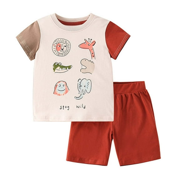 RTKFRFLM Toddler Boy Summer Shorts Set 2 Piece Summer Stylish Short Sleeve Outfit Kids Trendy Clothing Cool Baby Clothes Set Outfits,Size 5-6 Years