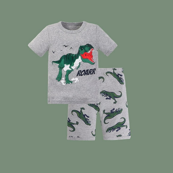 RTKFRFLM Toddler Boys Pajamas Sets 2 Piece Print Dinosaur Shorts Tops Pants Baby Kids Sleepwear Set Short Sleeve Clothing Sets Outfits,Size 6-7 Years