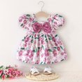 thumbnail image 1 of RTKFRFLM Toddler Girls Casual Dresses Summer Baby Print Princess Dress With Ruffled Hem Casual Party Outfit Girl Beach Sundress Dresses,Size 2-3 Years, 1 of 3