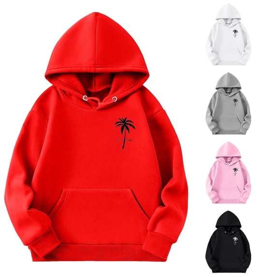 RTKFRFLM Toddler Kids Solid Color Hoodie Boys Girls Cute Animal Graphic Sweatshirt Long Sleeve Pullover Casual Activewear Tops