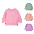thumbnail image 1 of RTKFRFLM Toddler Solid Color Hoodie Warm Lined Pullover Sweatshirt Green 2-3 Years, 1 of 5