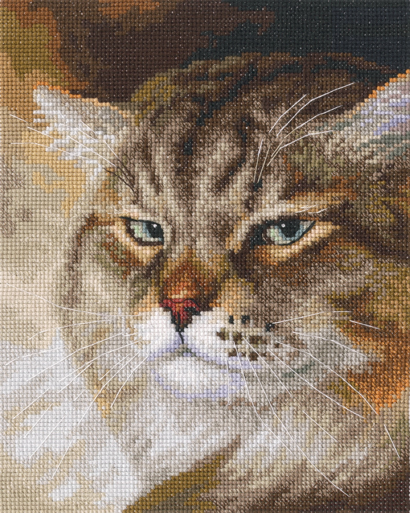 RTO Counted Cross Stitch Kit 6.25"X8"-Sly And Extremely Beautiful - Macho Cat