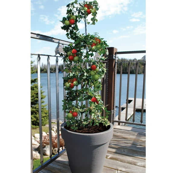 RTS Vertical Grow Mini Frame