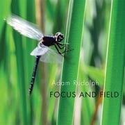 Rudolph - Focus & Field - Music & Performance - CD