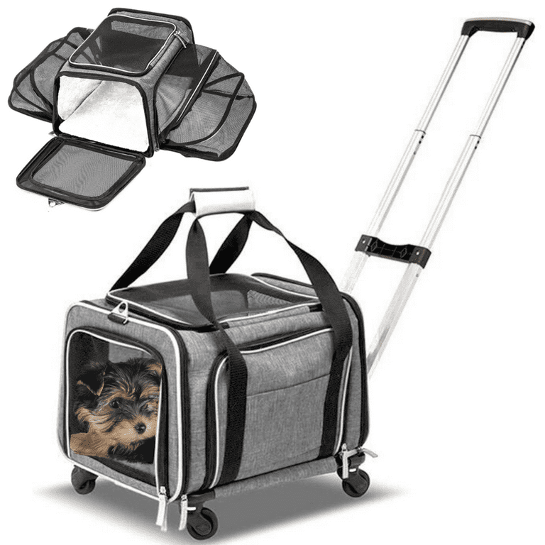 The Best Airline-Approved Cat Carrier: 7 Products for Traveling on