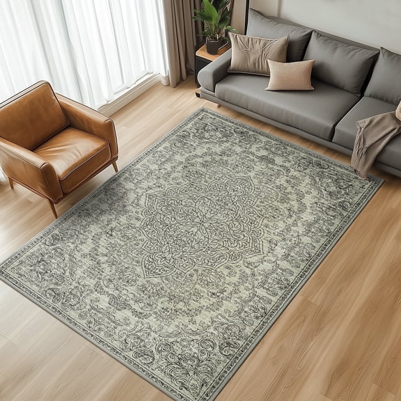 RUGKING Area Rug 4X6 Indoor Retro Floor Decor Carpet Washable Orental Rug for Living Room Bedroom Hallway Grey