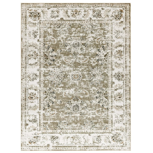 RUGKING Area Rug 4x6 Living Room Taupe Vintage Indoor Floor Thin Carpet