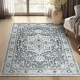 thumbnail image 1 of RUGKING Area Rug 4x6 Washable Bohemian Rug Indoor Floor Decor Print Carpet Grey Low pile Rug Lightweight Accent Rug for Living Room Bedroom Dining Room, 1 of 7