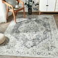 thumbnail image 1 of RUGKING Area Rug 5x7 Gray Traditional Carpet Foldable Oriental Medallion Pattern Non Slip Indoor Thin Rug for Living Room Bedroom, 1 of 8