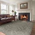 thumbnail image 1 of RUGKING Rugs For Living Room 8X10 Indoor Vintage Floor Decor Carpet Washable Orental Rug for Bedroom Hallway Coffee, 1 of 8