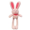 thumbnail image 1 of RUIG Bunny Stuffed Animal Toys, Easter Plush Bunny Rabbit Doll Plush Toys Soft Cotton Filling,Keychain Cute Stretchable Long Ears Bunny Doll, Girls First Friend Gifts for Birthday -12 in, 1 of 5