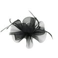 thumbnail image 1 of RUIG Women Girl Fascinators Hair Clip Hairpin Hat Feather Wedding Tea Party Hat Summer Headbands, 1 of 3