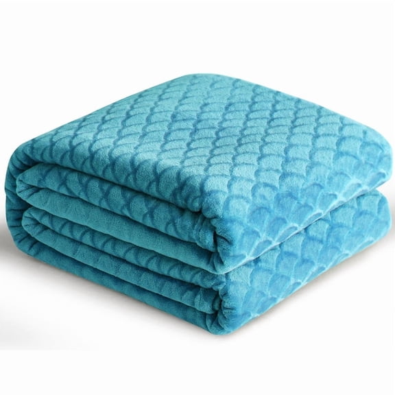 RUIKASI Brushed Flannel Blanket Blue Throw, Super Soft and Cozy Blankets All Season Use