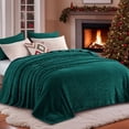 thumbnail image 1 of RUIKASI Brushed Flannel Blanket Dark Green Queen, Super Soft and Cozy Blankets All Season Use, 1 of 9